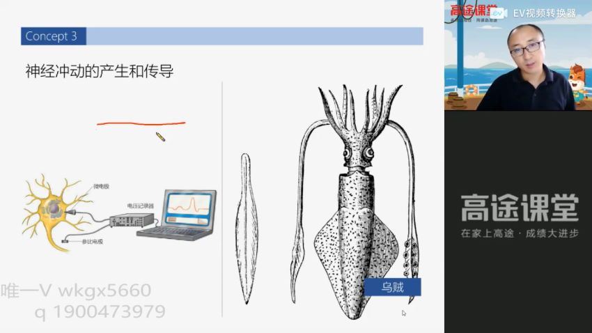 2022高二高途生物张继光全年班 百度网盘(2.97G)