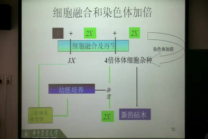 园艺植物生物技术_华中农业大学-主讲：刘继红 34讲 百度网盘(4.17G)