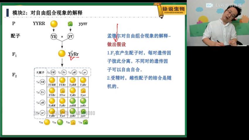 2022高一高途生物徐京全年班 百度网盘(13.26G)