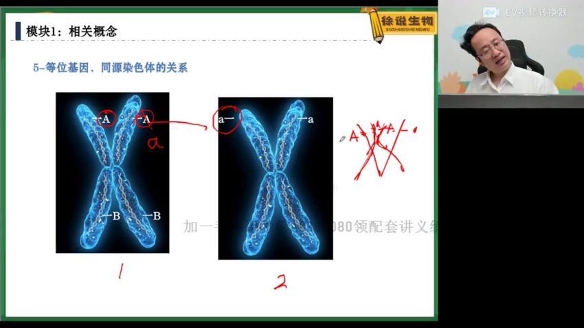 2022高一高途生物徐京全年班 百度网盘(13.26G)