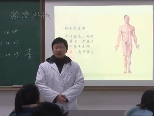 人体解剖学_南通大学-主讲：顾晓松 77讲 百度网盘(11.55G)