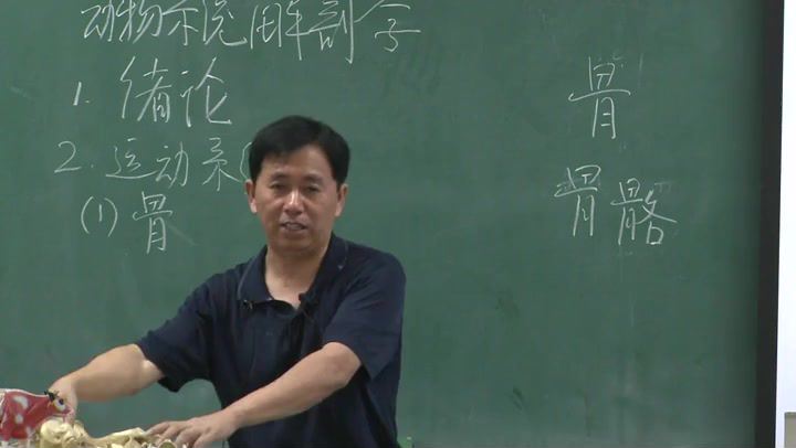 动物解剖学_中国农业大学-主讲：陈耀星 80讲 百度网盘(5.60G)