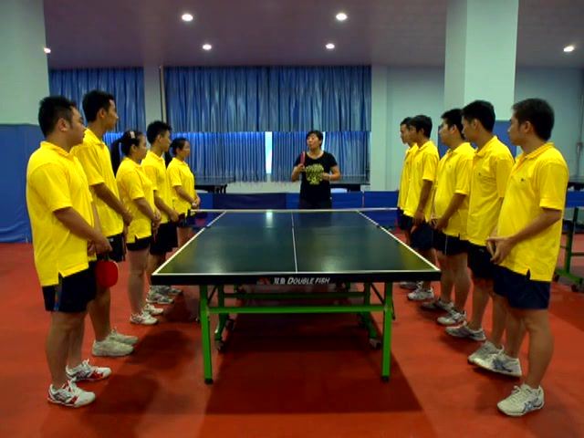 乒乓球_成都体育学院-主讲：刘建和 17讲 百度网盘(3.98G)